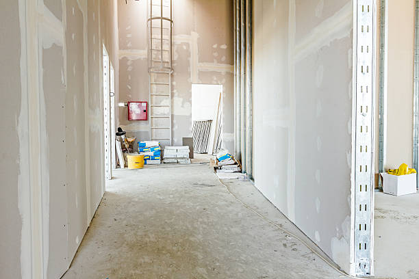 Best Drywall Installation  in Peoria Heights, IL